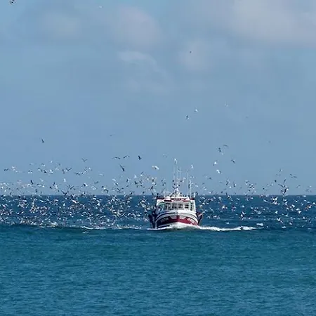 Fenetre Sur I Cap * ポール・アン・ベッサン・ユパン