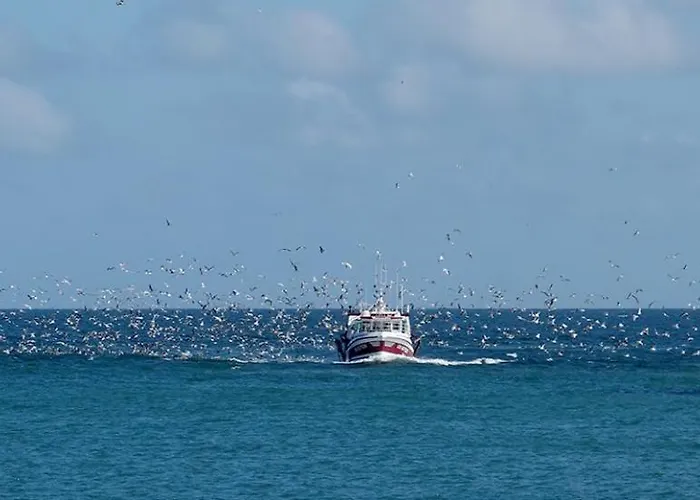 Fenetre Sur I Cap * Port-en-Bessin-Huppain